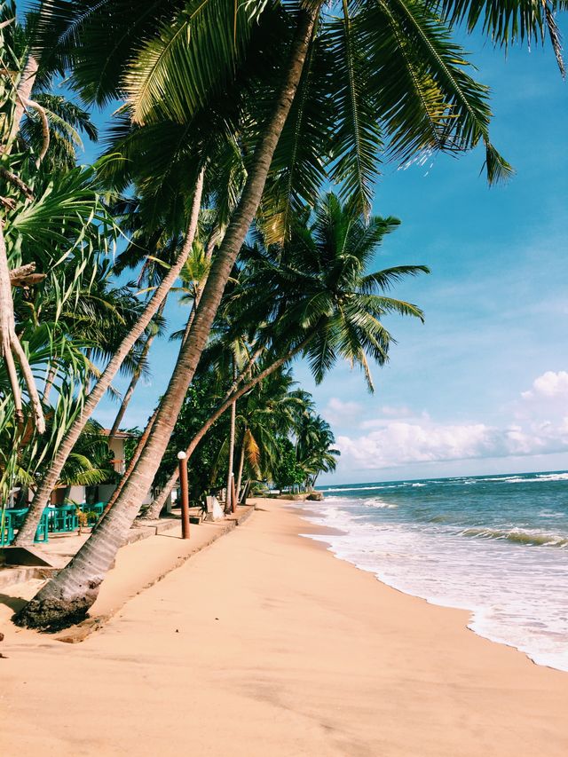 Baratang Island