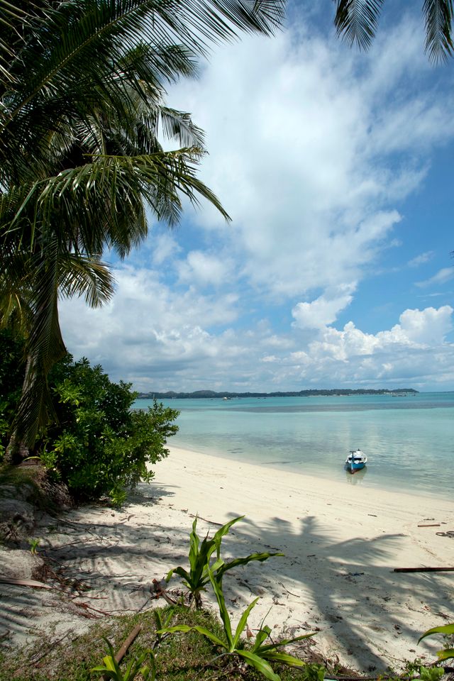 Beachfront resort with palm trees