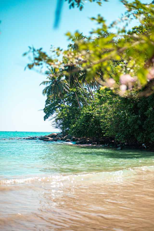Corbyn's Cove Beach