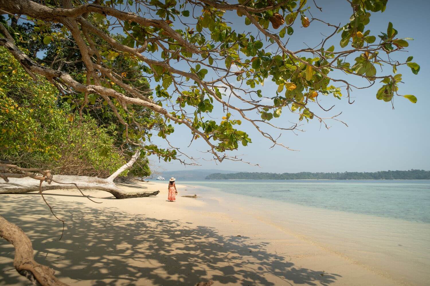 Travel Image