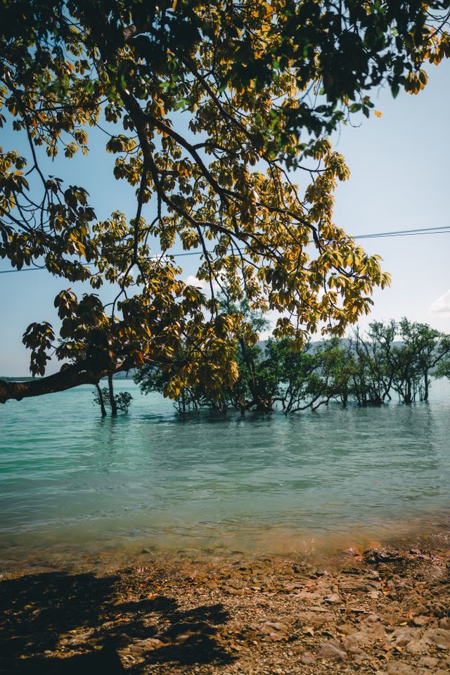 Ross Smith Island